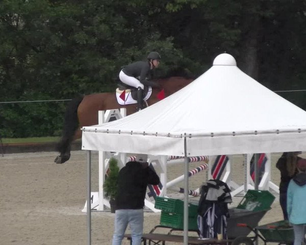 Reitturnier Maienfeld 2023