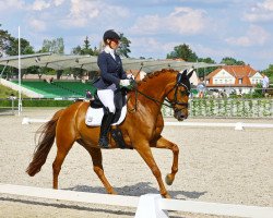 dressage horse Just Unique W (Oldenburg, 2016, from Glock's Johnson Tn)