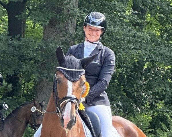 dressage horse Vegas (Westphalian, 2020, from Valdiviani)