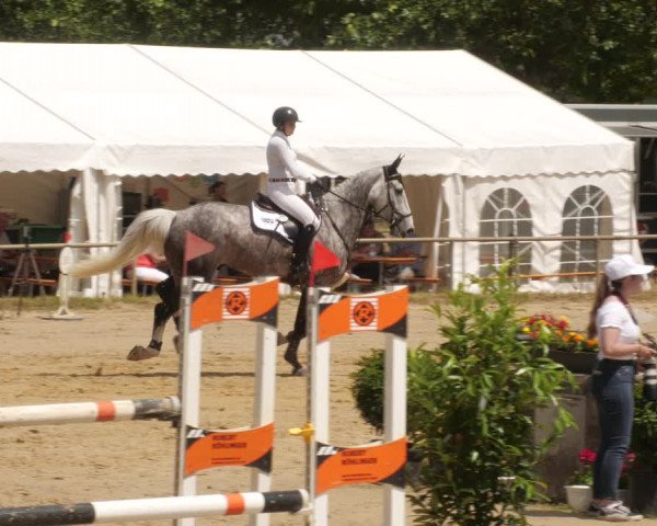 Reitturnier Heiligenwald 2023