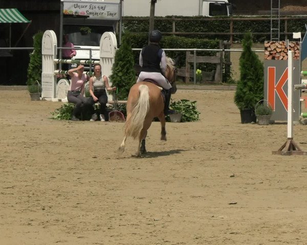 Reitturnier Schwerte 2023
