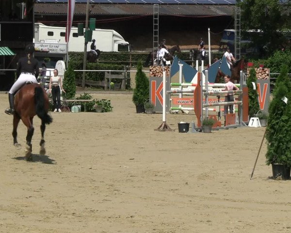 Reitturnier Schwerte 2023