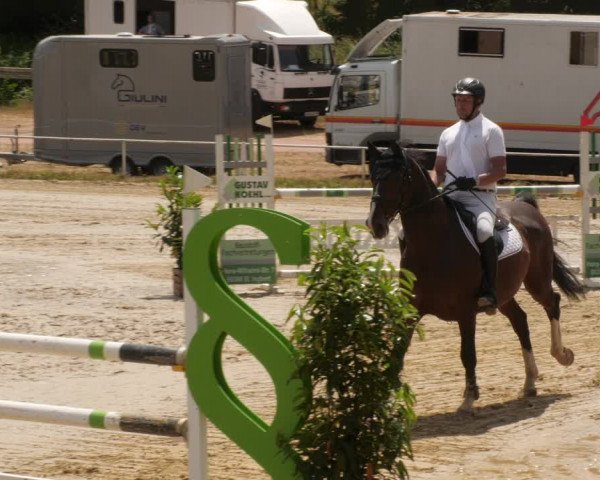 Reitturnier Heiligenwald 2023