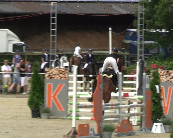 Reitturnier Schwerte 2023