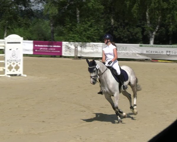 Reitturnier Schwerte 2023