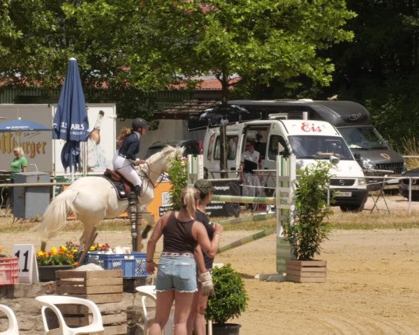 Reitturnier Heiligenwald 2023