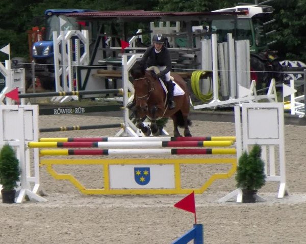 Reitturnier Maienfeld 2023