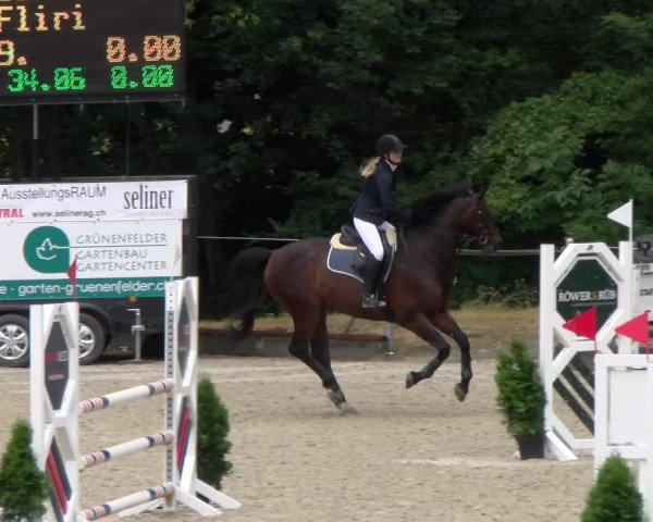 Reitturnier Maienfeld 2023