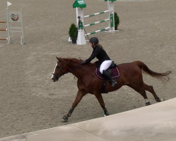 Reitturnier Maienfeld 2023