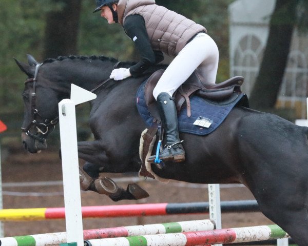 Heike Blaul