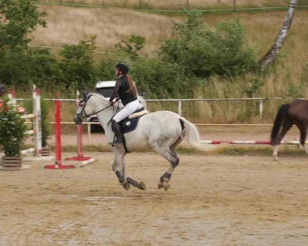 Reitturnier Heiligenwald 2023