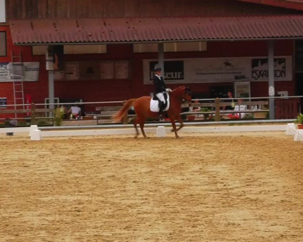 Reitturnier Uder, Reitanlage Kobold 2023