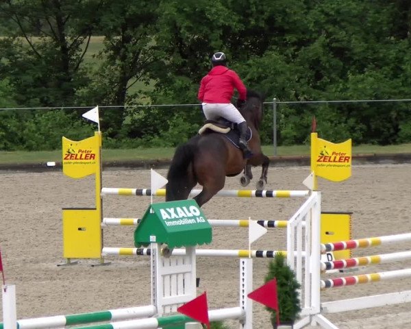 Reitturnier Maienfeld 2023