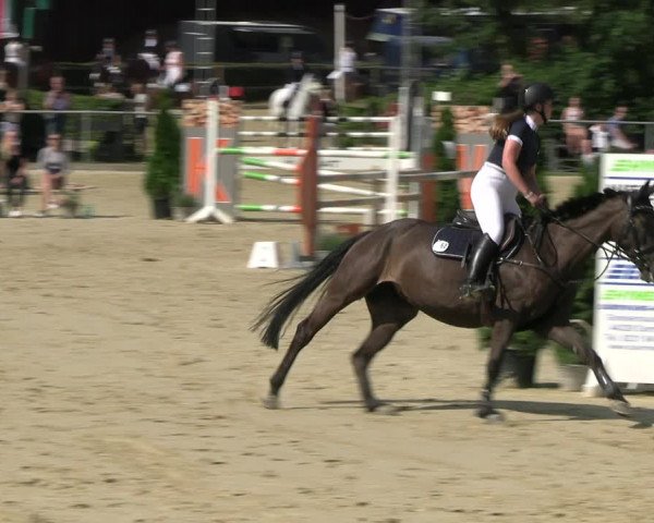 Reitturnier Schwerte 2023