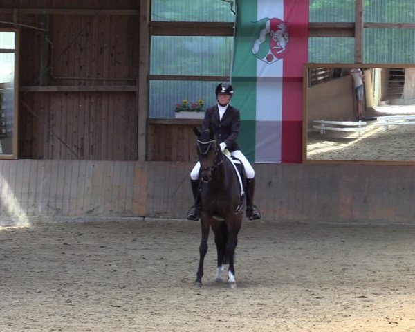 Reitturnier Schwerte 2023