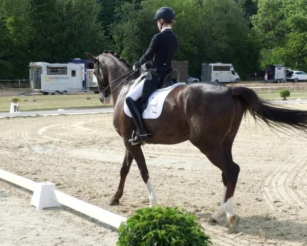Reitturnier Heiligenwald 2023