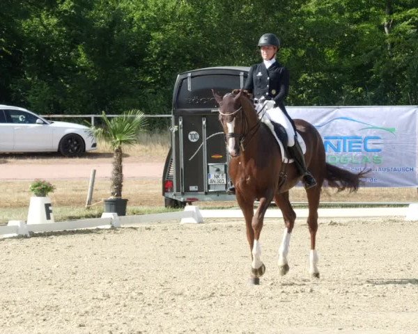 Reitturnier Heiligenwald 2023