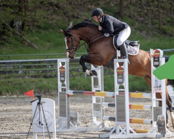 jumper Batida de Balou 3 (Hanoverian, 2017, from Balou du Rouet)