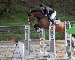 jumper Batida de Balou 3 (Hanoverian, 2017, from Balou du Rouet)