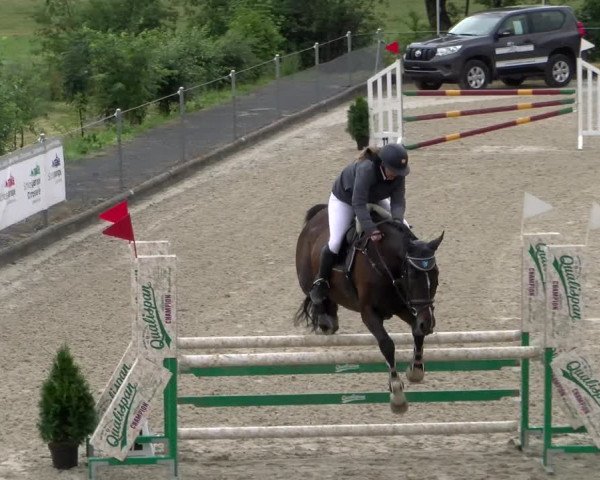 Reitturnier Maienfeld 2023