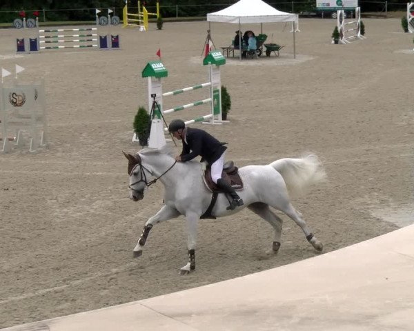 Reitturnier Maienfeld 2023