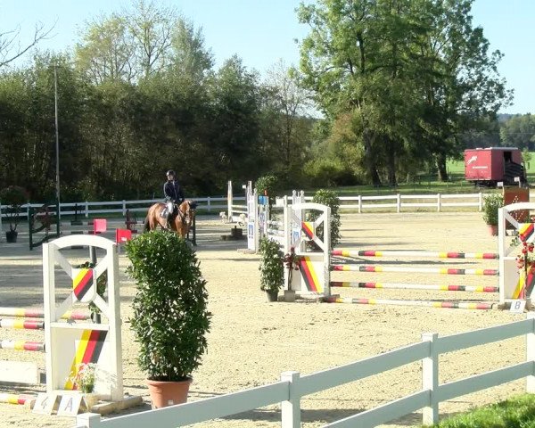 Reitturnier Isny-Rohrdorf 2021