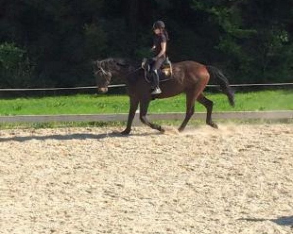 Alexandra Luttenberger