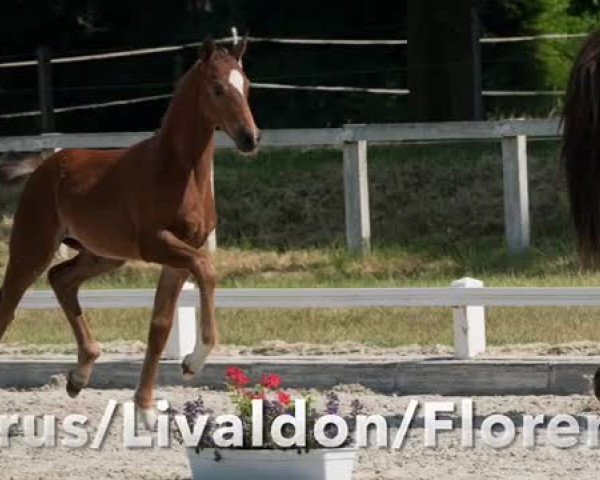 Video of Blandina