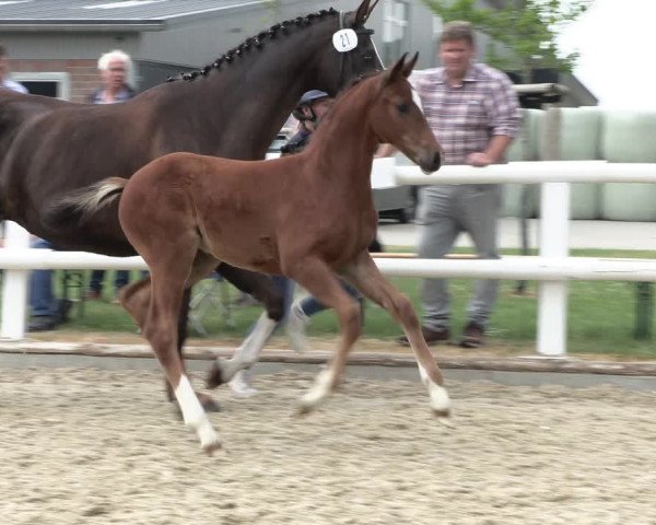 Video of Blandina