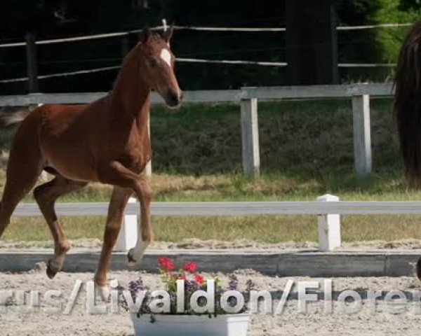 Video of Blandina