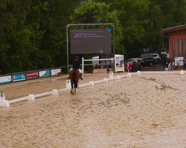 Reitturnier Uder, Reitanlage Kobold 2023