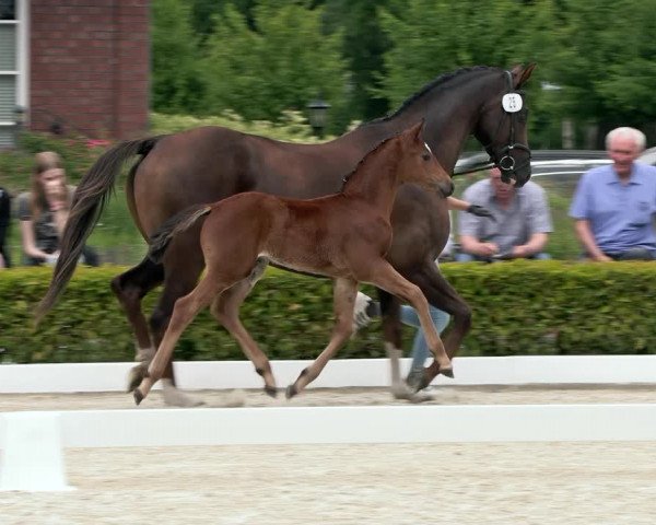 Video of Blandje