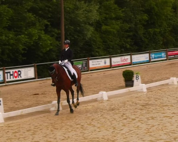 Reitturnier Uder, Reitanlage Kobold 2023