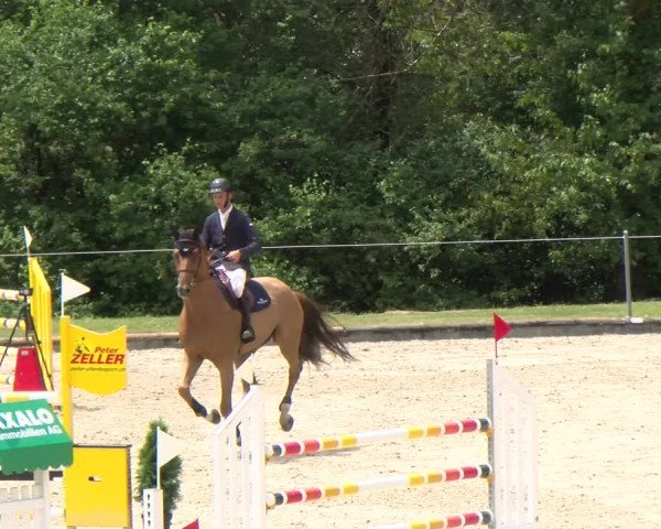 Reitturnier Maienfeld 2023