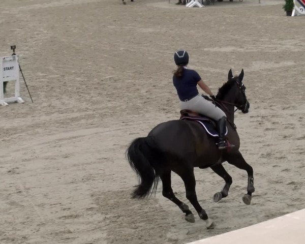 Reitturnier Maienfeld 2023