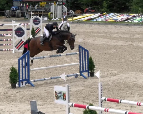 Reitturnier Maienfeld 2023