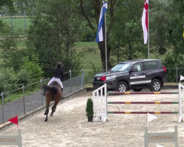 Reitturnier Maienfeld 2023