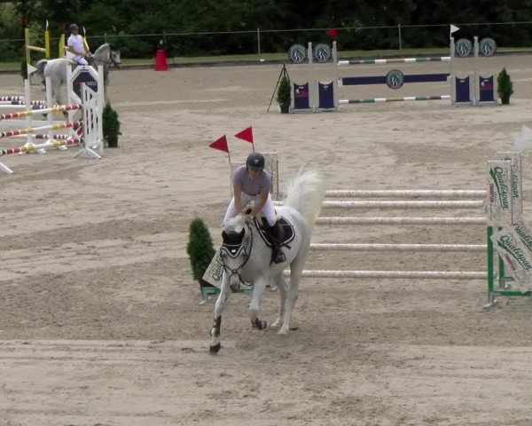 Reitturnier Maienfeld 2023