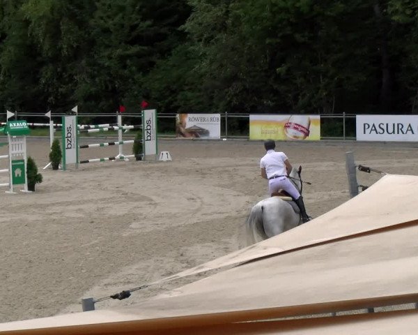 Reitturnier Maienfeld 2023