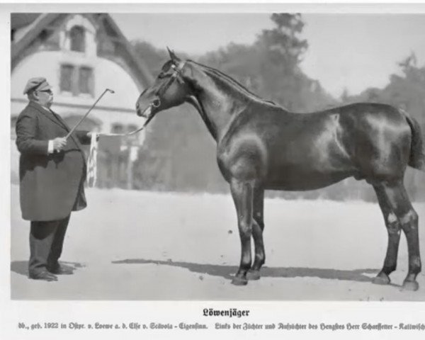 stallion Löwenjäger 1720 (Trakehner, 1922, from Löwe)