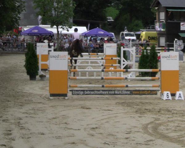 Reitturnier Schwerte 2023