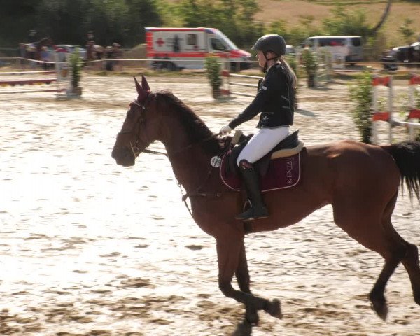 Reitturnier Heiligenwald 2023