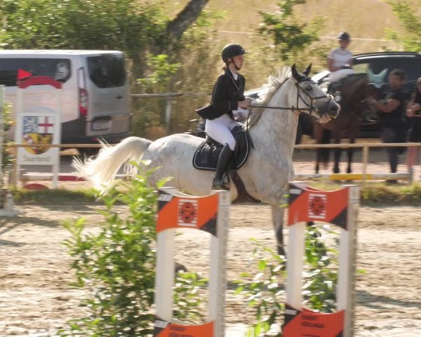 Reitturnier Heiligenwald 2023