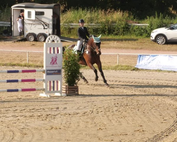 Reitturnier Heiligenwald 2023
