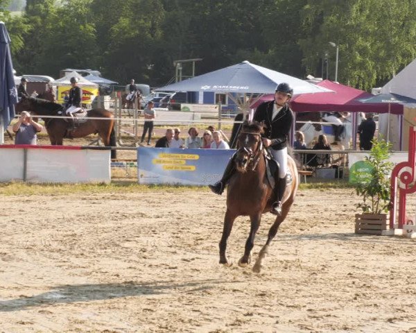 Reitturnier Heiligenwald 2023
