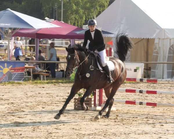 Reitturnier Heiligenwald 2023