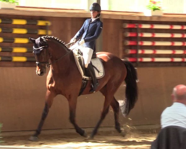 Reitturnier Schwerte 2023