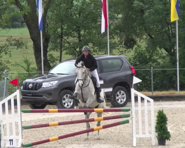 Reitturnier Maienfeld 2023
