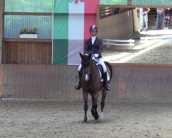 Reitturnier Schwerte 2023