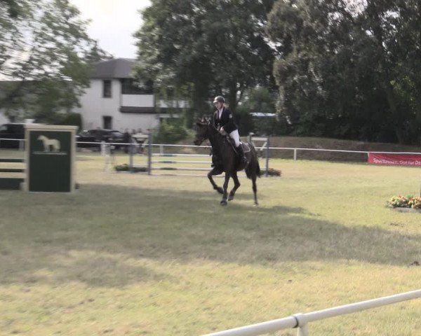 Reitturnier Schwittersdorf-Beesenstedt 2023